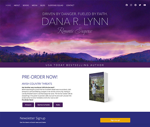 screen shot of Dana R. Lynn website